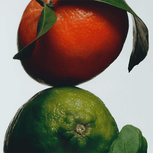 ライム バジル & マンダリン ディフューザー オイル / Jo Malone