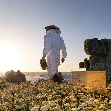 アベイユ ロイヤル オイル セロム エントリー コフレ 05