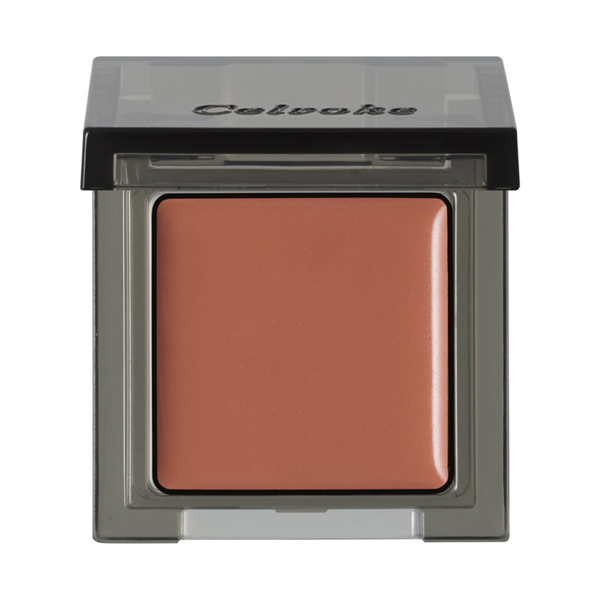 インフィニトリー カラー N / 06 Raw Sienna / 1.7g