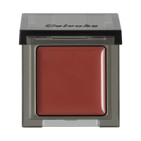 インフィニトリー カラー N / 05 Brick Red / 1.7g
