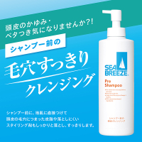 シャンプー前の毛穴すっきりクレンジング / シーブリーズ(頭皮