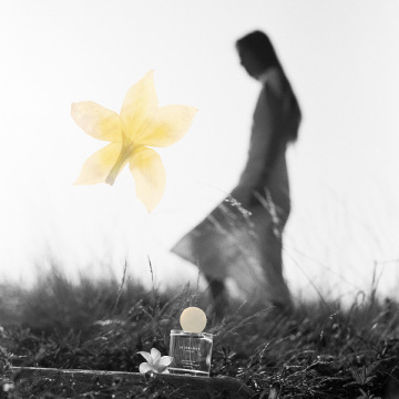 フランジパニ フラワー コロン 04