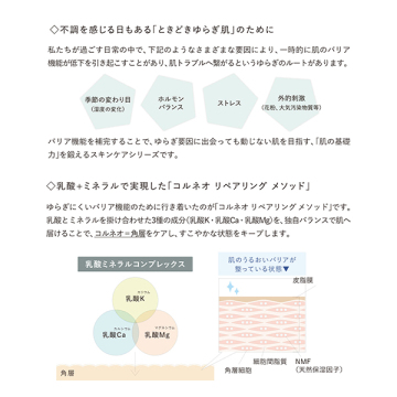 チューニング クリアリング クレイパック 04