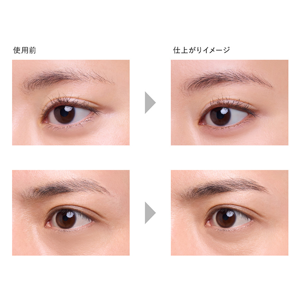 アイブロウシェイドライナー / SL1 Grayish Shade / 2.2mL 1