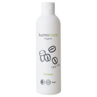 ベーシック シャンプー / 本体 / 250ml