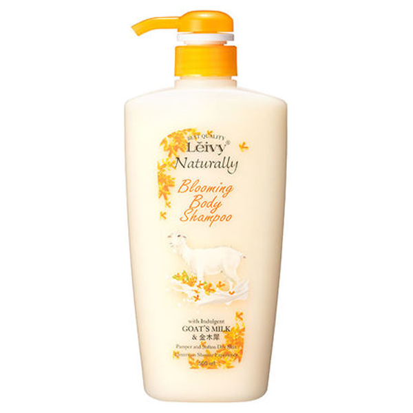 ܥǥס / 500ml / ں