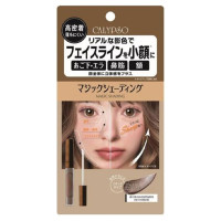 本体 / ウォームグレージュ / 4.5g