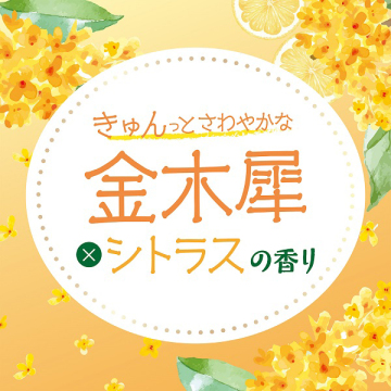 【入荷次第販売開始】すっぴんパウダーC 04
