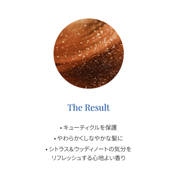 ヘア リチュアル プロテクティブ シールド ミスト 05