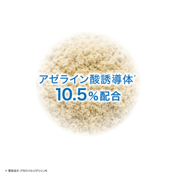 【入荷次第販売開始】ウォーターロック アゼケアプライマー 04