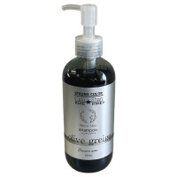 ストロングカラーシャンプー / オリーブグレージュ / 250ml