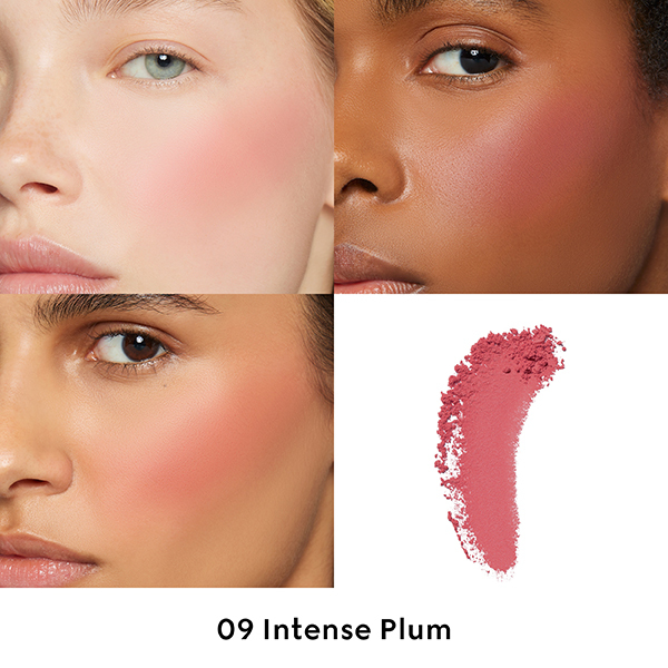 グッチ ブラッシュ ドゥ ボーテ チーク アンド アイ / グッチ