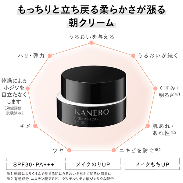 【リニューアル】クリーム イン デイII / SPF30 / PA+++ / 40g / 本体 1