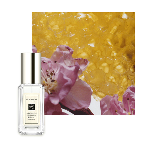 コロン コレクション 限定セット / Jo Malone London(ジョー