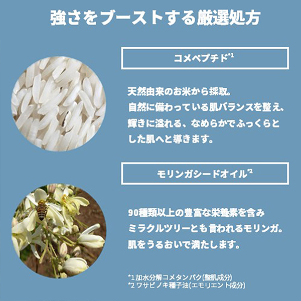 EDW インテンスクリーム (集中保湿クリーム)｜ THE BODY SHOP