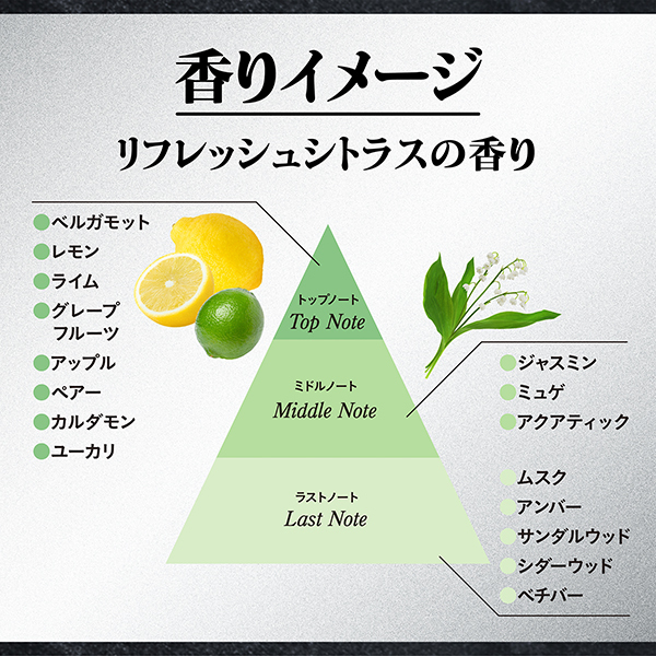 薬用メンズボディクレンズ / エージーデオ24(ボディソープ, ボディケア