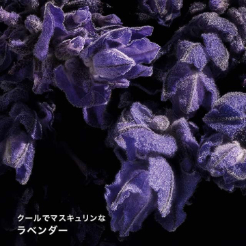 リブレ オーデパルファム 04