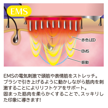 EMS&RF リフトブラシボーテ 05