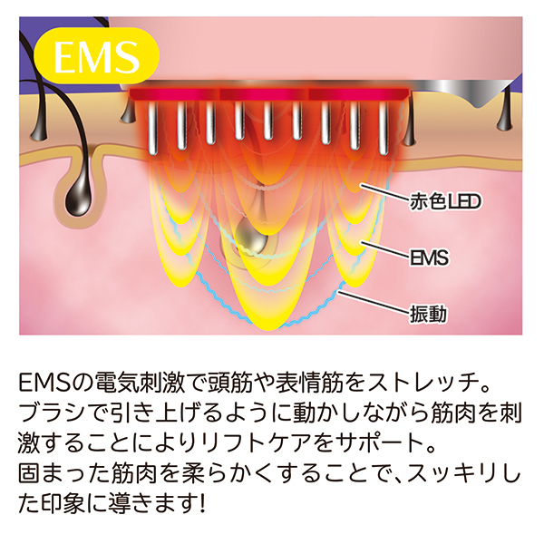 ボディ・フェイスケア usahana 期間限定値下げ‼️SALONIA EMS LIFT BRUSH Amazon.co.jp