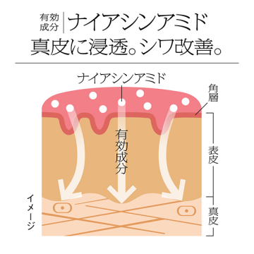 【数量限定】薬用シワ改善泡セラム セット 03