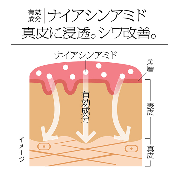 i P 薬用　シワ改善 泡セラム　ムースセラム　本体　レフィル　計4点セット ソフィーナ iP 薬用シワ改善 泡セラム レフィル ( 90g