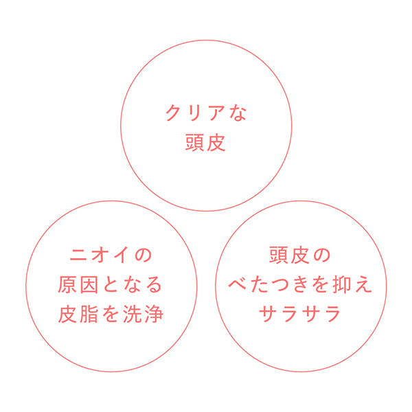 【数量限定】クラリファイイング スカルプジェル セット / 250g、2.5g×4 1