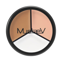 COVERFIT POT CONCEALER / 01 CONTOUR / 4.5g×3