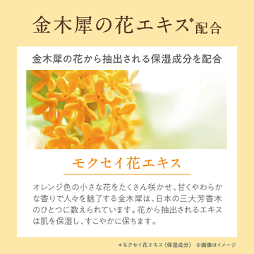 【入荷次第販売開始】金木犀ミニハンドクリーム 05