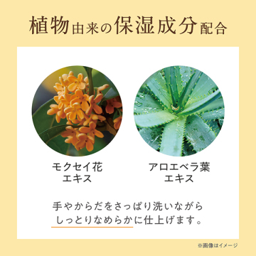 金木犀ハンド&ボディーソープ 05