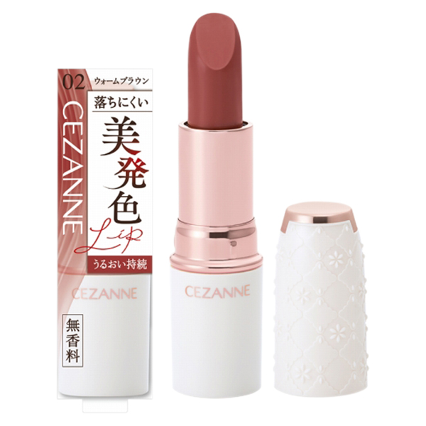 ラスティングステイリップカラー / 02 ウォームブラウン / 4.0g