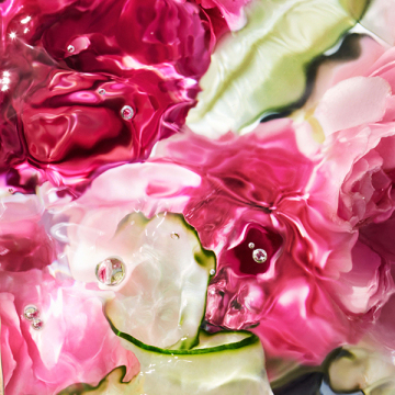 【@cosme BEAUTY DAY限定】アクア アレゴリア ローザ ヴェルデ ミクソロジー セット 03