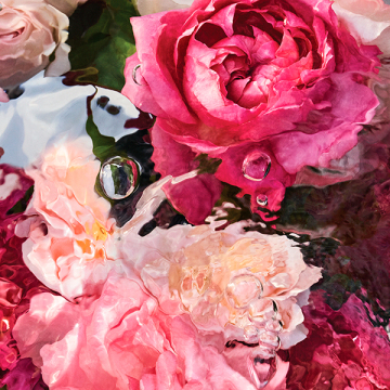 【@cosme BEAUTY DAY限定】アクア アレゴリア ローザ ロッサ ミクソロジー セット 03