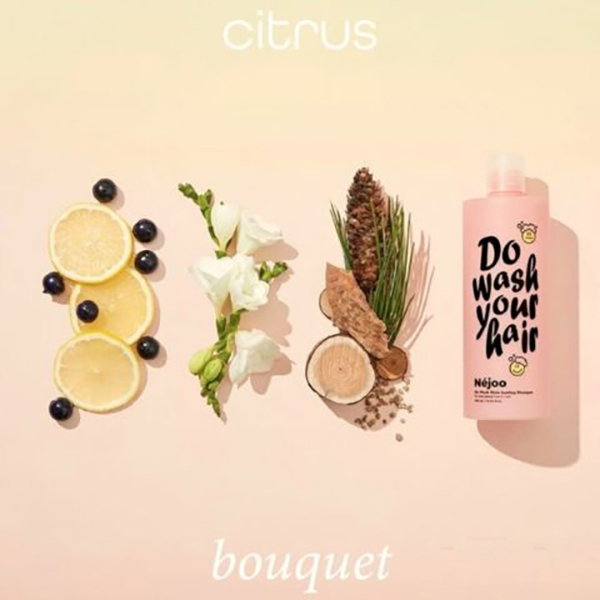 Do Wash StyleLasting Shampoo / Nejoo(シャンプー, シャンプー