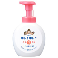 薬用泡ハンドソープ / 本体 / 500ml / フルーツミックスの香り