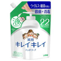 薬用液体ハンドソープ / 詰替 / 450ml / シトラスフルーティの香り