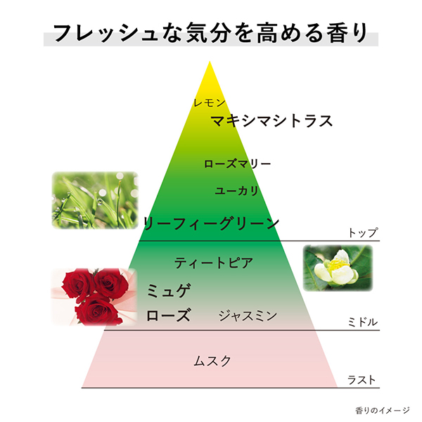 クリーム イン デイ II セット / SPF30 / PA+++ / 40g、4g、7ml×2 1