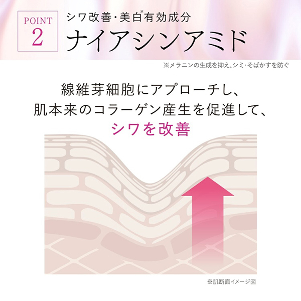 1,170ポイントバック】@cosme限定 薬用シワ改善美容液 増量セット(夜用
