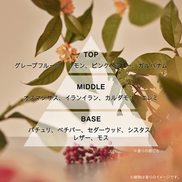 オードパルファン TWILIGHT HUES / 47mL 1