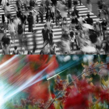 オードパルファン LOST IN THE CROWD 02