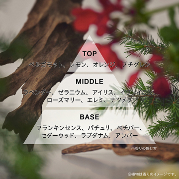 オードパルファン LOST IN THE CROWD 03