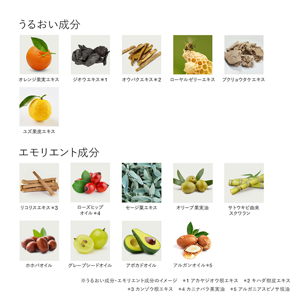 Wトリートメントオイル / 20mL 1