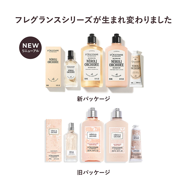 新品 Brioni エクラ セット 香水100ml＋シャワージェル150ml 718993999999980E.jpg