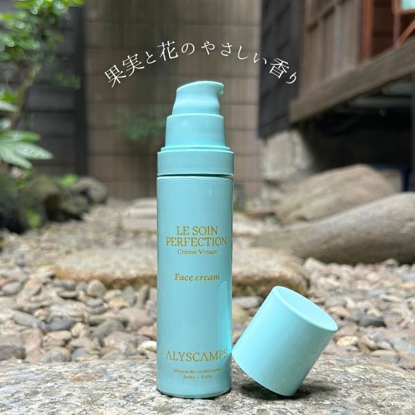 フェイスクリーム pipi フェイスクリーム pipi icecream factory PiPi （ピピ【旧店名