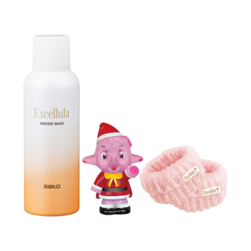 ホリデーセットC (ムースウォッシュ)