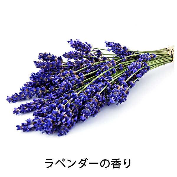 ザ・プロダクト ラベンダー / 42g 1