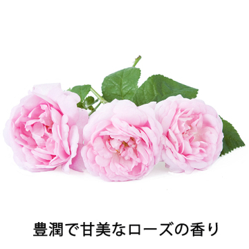 ザ・プロダクト ダマスクローズ 04