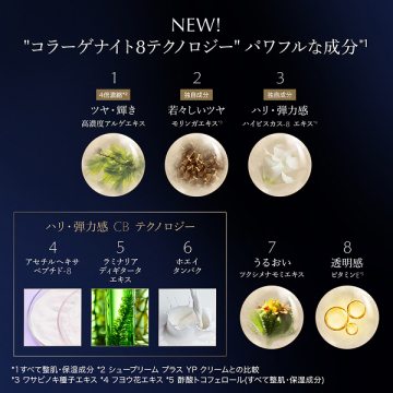 @cosme限定 ホリデーシュープリーム ナイト ギフトセット 05
