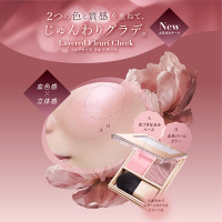 パウダーチーク 5個セット レイヤード フルリ チーク / ヴィセ(パウダーチーク, メイクアップ)の