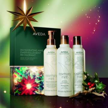 ローズマリー ミント ヘア & ボディ エッセンシャル ギフト 02