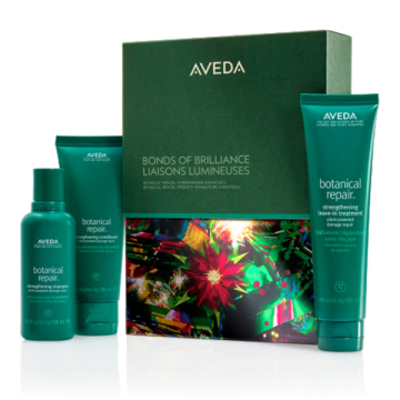 ボタニカル リペア ストレングス エッセンシャル ギフト